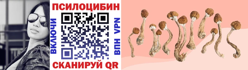 Купить где  Вичуга  Псилоцибиновые грибы прущие грибы 