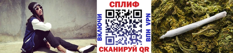 Купить закладки  Вичуга  Каннабис сатива 